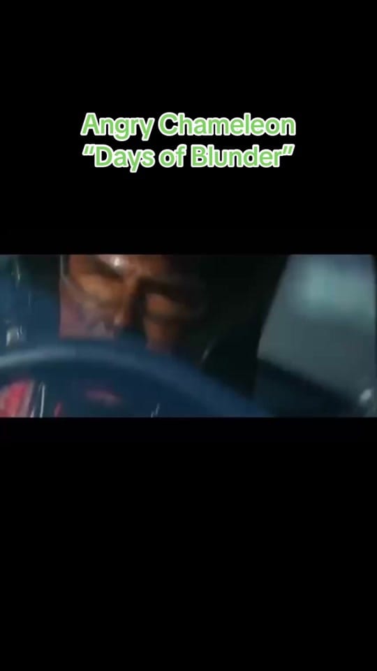 Post 3 by The Angry Chameleon on TikTok (video)
