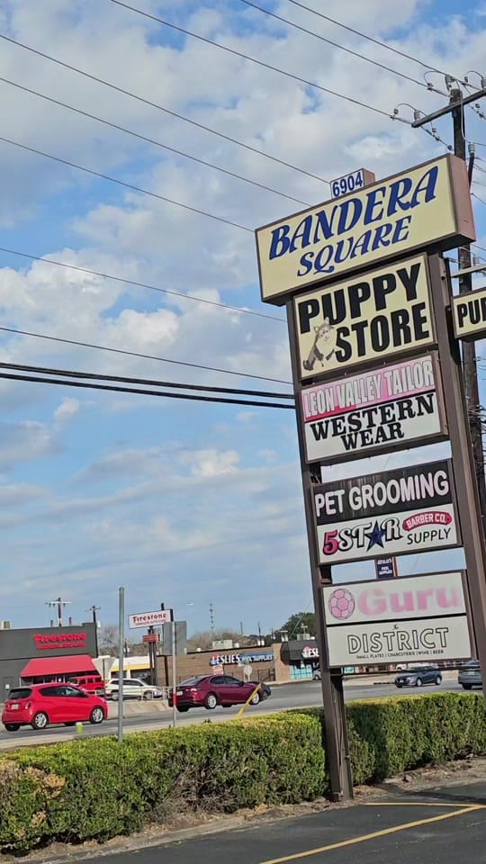 Post 8 by Texas Puppy Store on TikTok (video)