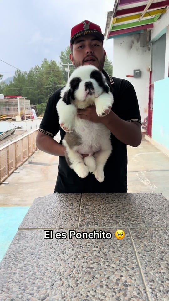 Post 6 by Oscar Hernandez Mangano on TikTok (video)
