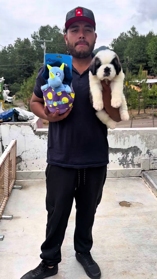 Post 1 by Oscar Hernandez Mangano on TikTok (video)