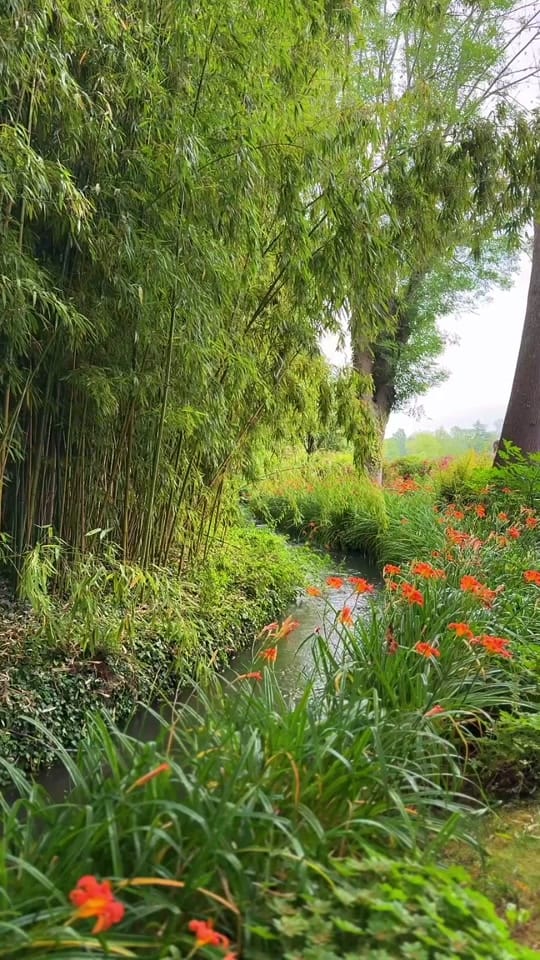 Post 5 by Bea in Paris ✨🇮🇩🇫🇷 on TikTok (video)