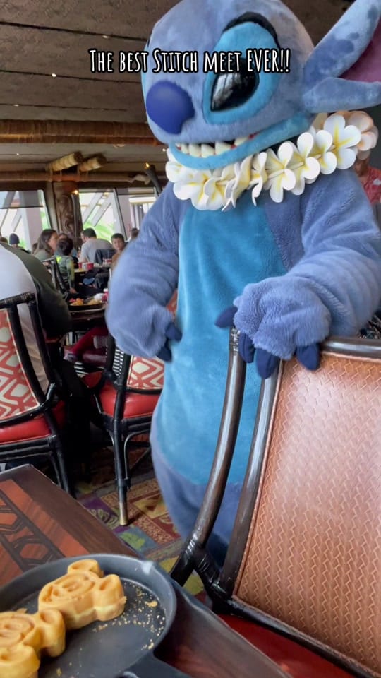Post 9 by Courtney|Disneyland Paris౨ৎ˚⟡˖ on TikTok (video)
