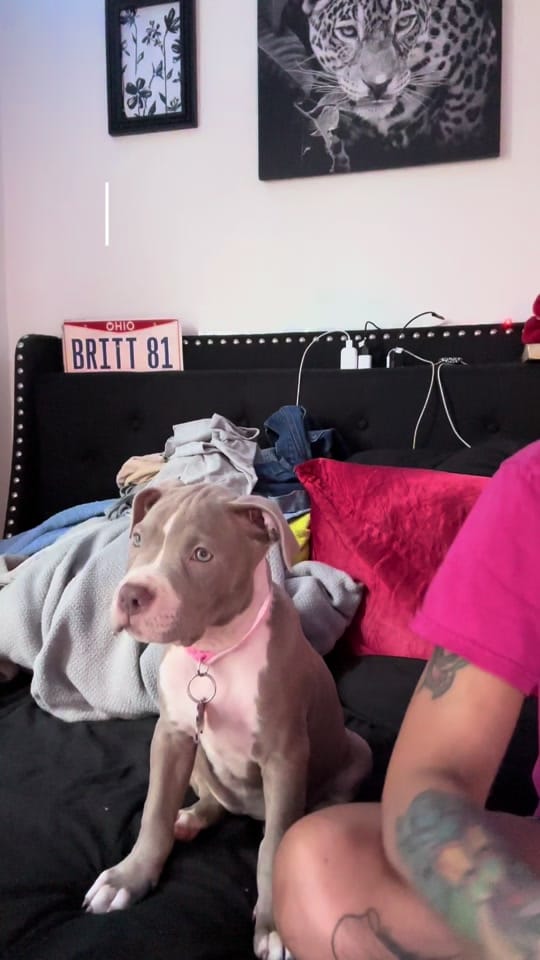 Post 9 by Britt ✨ on TikTok (video)