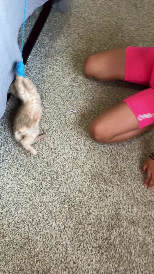 Post 5 by Britt ✨ on TikTok (video)