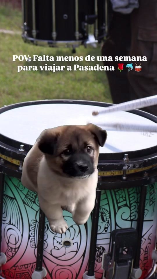 Post 6 by DelfinesmbMX on TikTok (video)