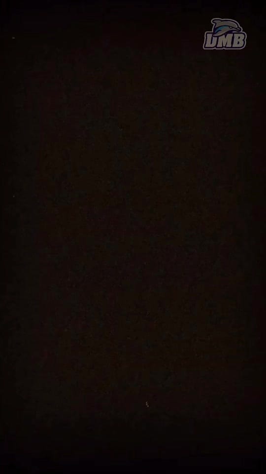 Post 7 by DelfinesmbMX on TikTok (video)