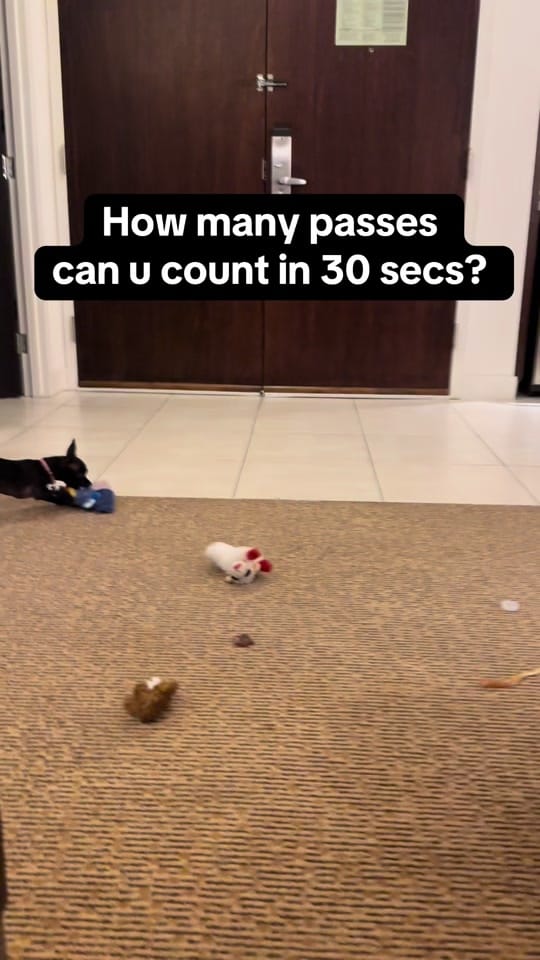 Post 6 by Gabriel Iglesias on TikTok (video)