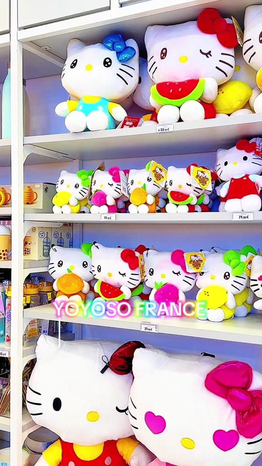 Post 7 by YOYOSO FRANCE on TikTok (video)