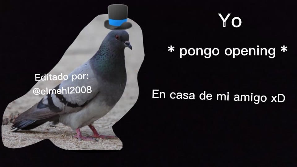 Post 10 by PLMX🇲🇽 on TikTok (video)