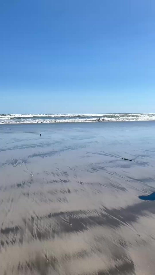 Post 4 by Didi on TikTok (video)