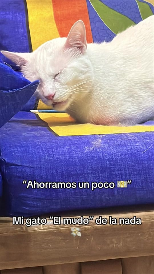 Post 1 by Roxas Altie Garcia on TikTok (video)