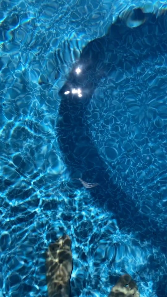 Post 8 by Brittany C. on TikTok (video)