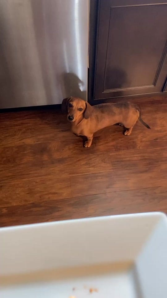 Post 9 by Brittany C. on TikTok (video)