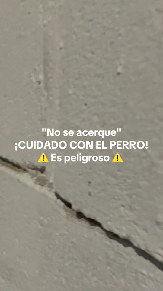 Post 6 by DIEGO RICO on TikTok (video)