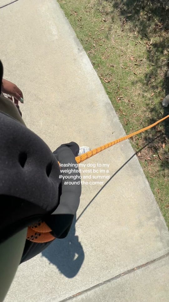 Post 8 by Kai Frances on TikTok (video)
