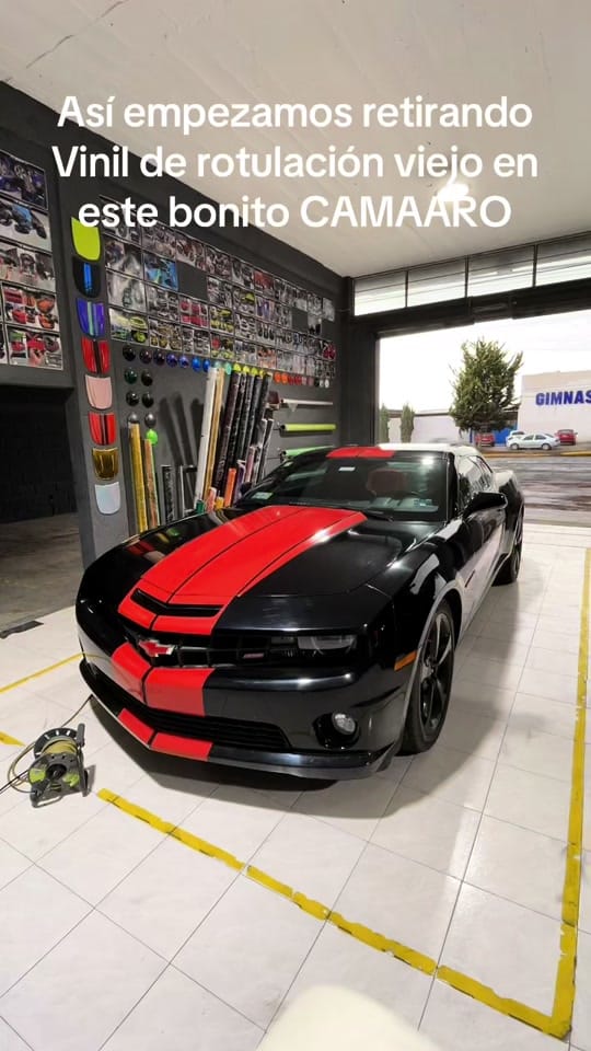 Post 8 by Mike Wrapper on TikTok (video)