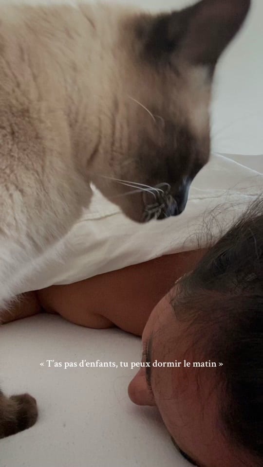Post 6 by Amandine 🪭 on TikTok (video)