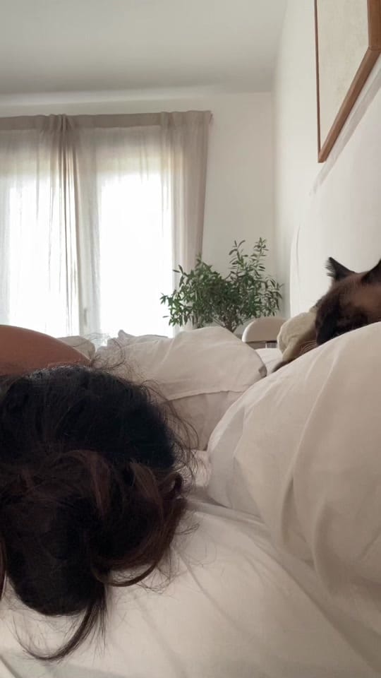 Post 2 by Amandine 🪭 on TikTok (video)