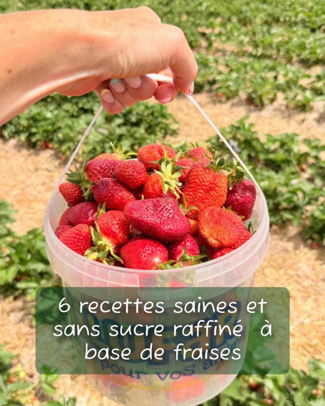 Post 7 by Nosugarhealthy | Strasbourg on TikTok (video)