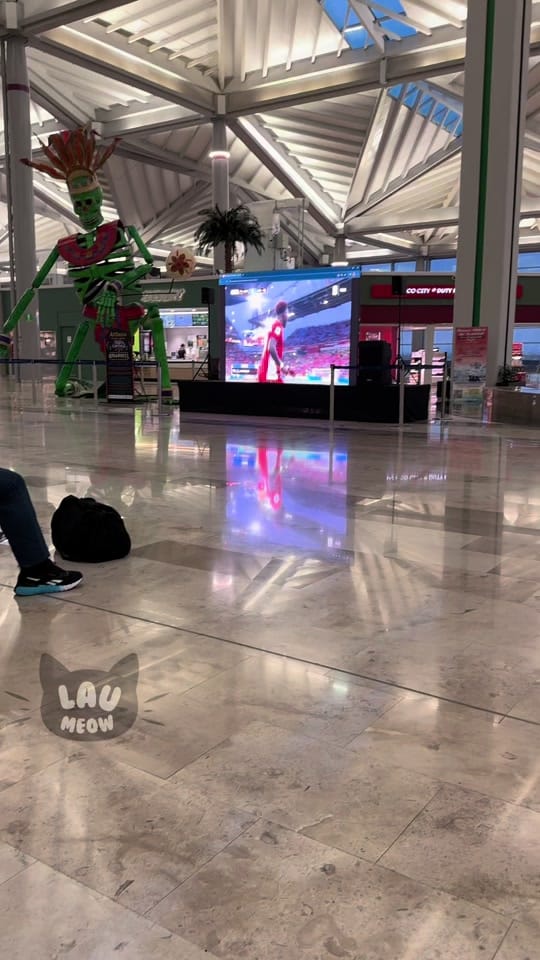 Post 1 by LauMeow on TikTok (video)