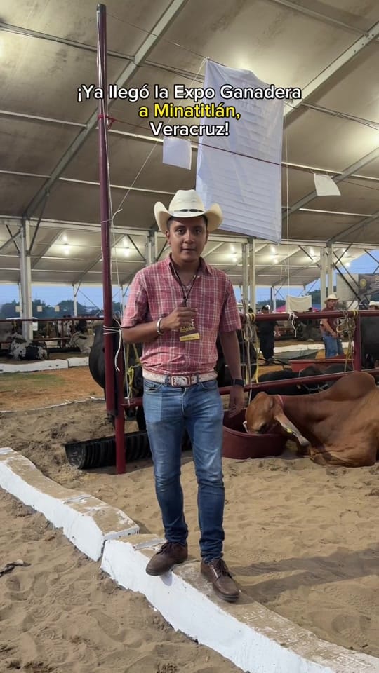 Post 3 by Rola con Silver on TikTok (video)