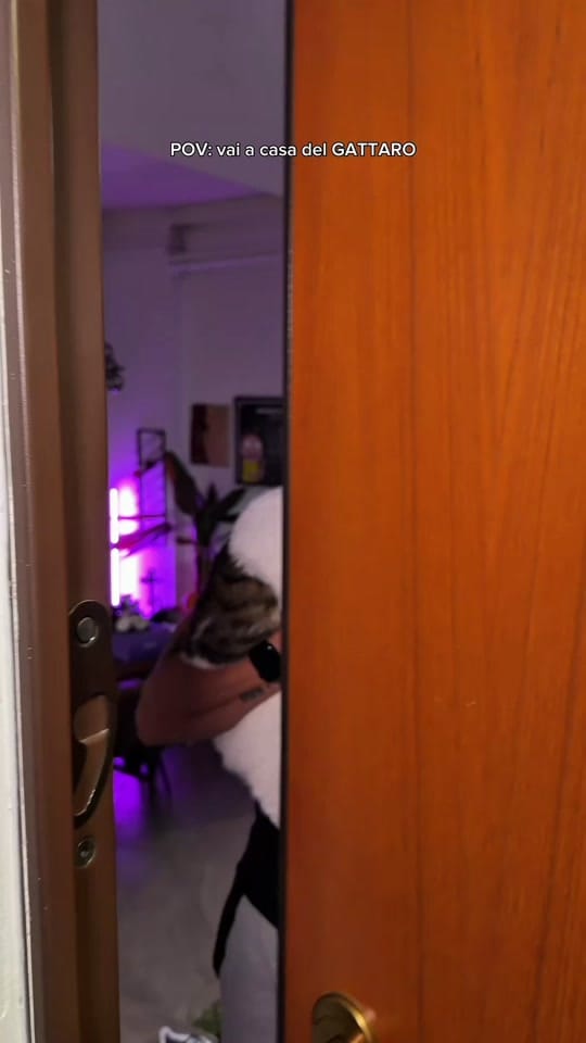 Post 8 by Leonardo Decarli on TikTok (video)