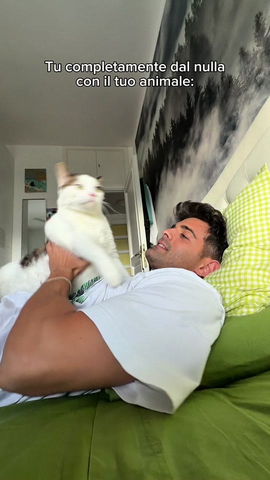 Post 2 by Leonardo Decarli on TikTok (video)