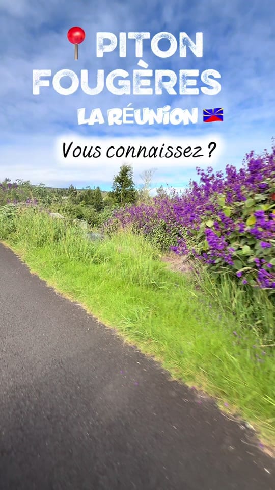 Post 4 by 100% Réunionnaise🇷🇪 on TikTok (video)