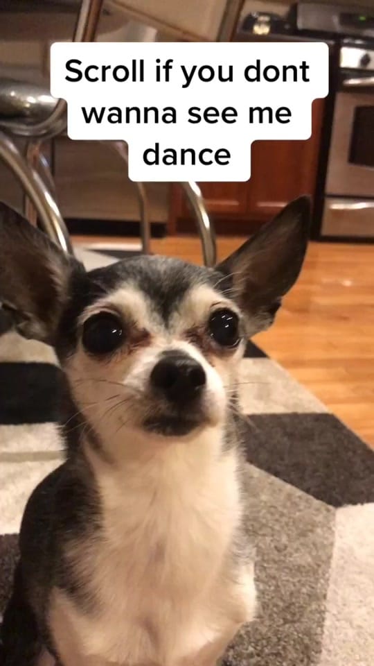 Post 9 by Penguin🐧 on TikTok (video)