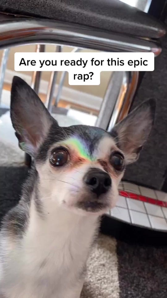 Post 8 by Penguin🐧 on TikTok (video)
