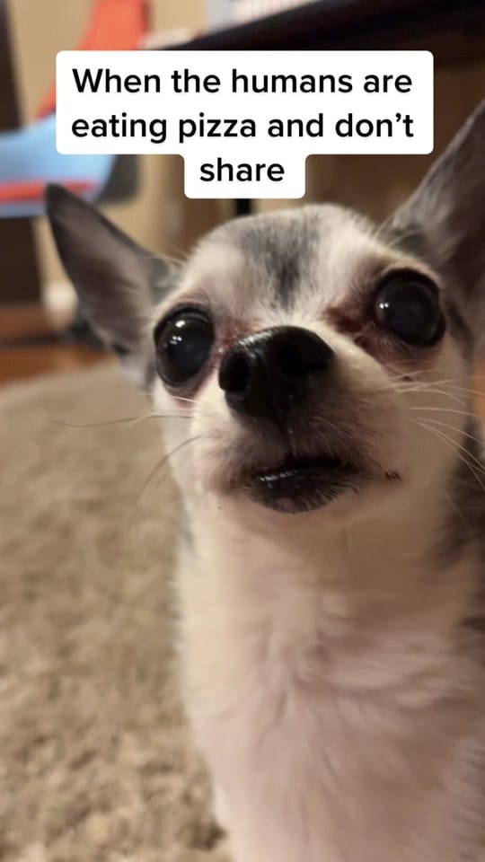 Post 3 by Penguin🐧 on TikTok (video)