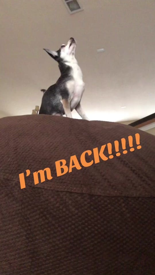 Post 1 by Penguin🐧 on TikTok (video)