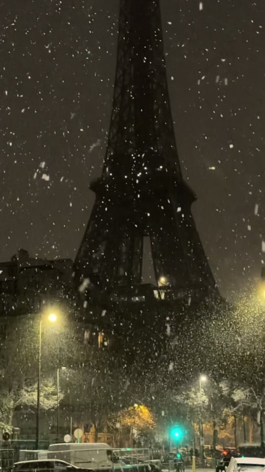 Post 5 by Raphael Metivet on TikTok (video)