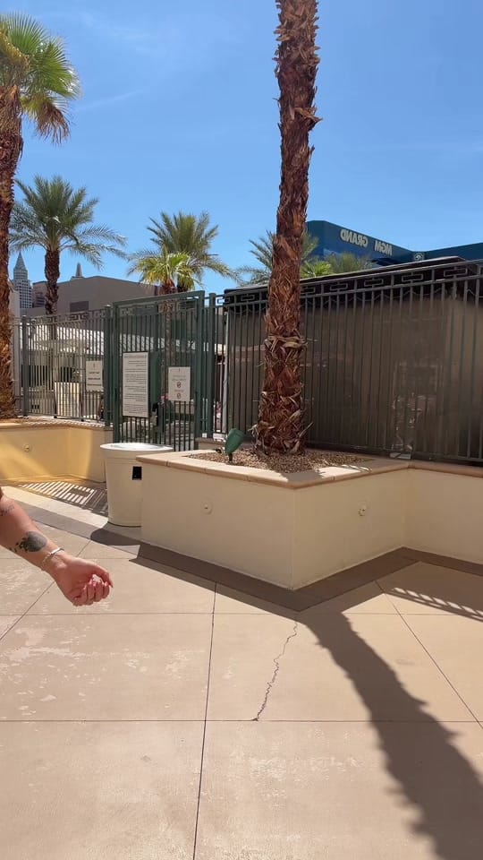 Post 6 by Fran🦋 on TikTok (video)