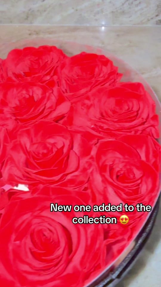 Post 7 by Malisa Seegobin🌺 on TikTok (video)