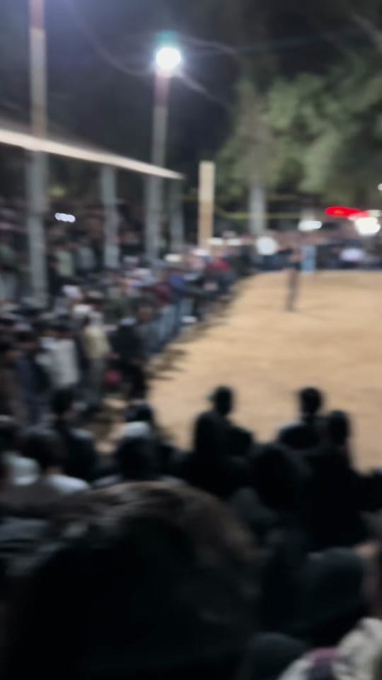 Post 4 by Carlitos Torres on TikTok (video)