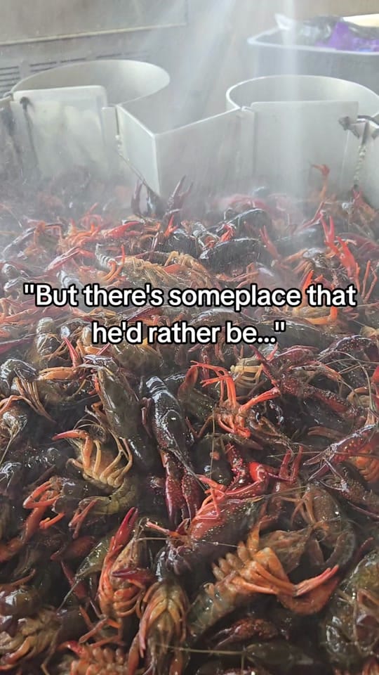Post 2 by Louisiana's Cajun Bayou on TikTok (video)