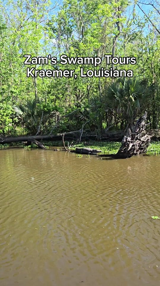 Post 3 by Louisiana's Cajun Bayou on TikTok (video)