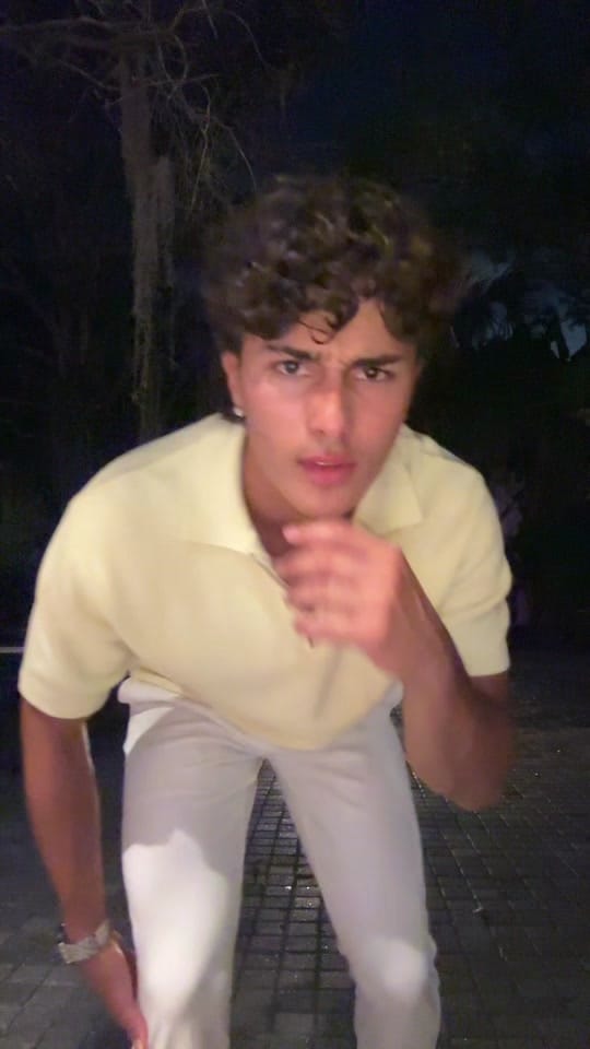 Post 4 by ant 🐜 on TikTok (video)