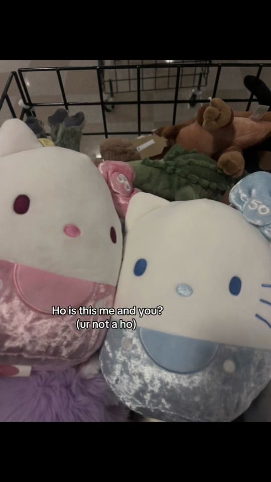 Post 7 by 𝓨𝓪𝓲𝓵𝔂𝓷 on TikTok (video)