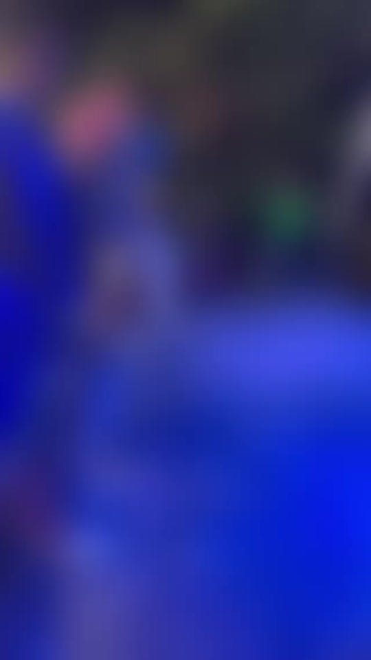 Post 6 by MAREA MUSICAL DE NAYARIT on TikTok (video)