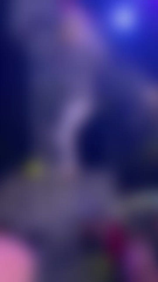 Post 9 by MAREA MUSICAL DE NAYARIT on TikTok (video)