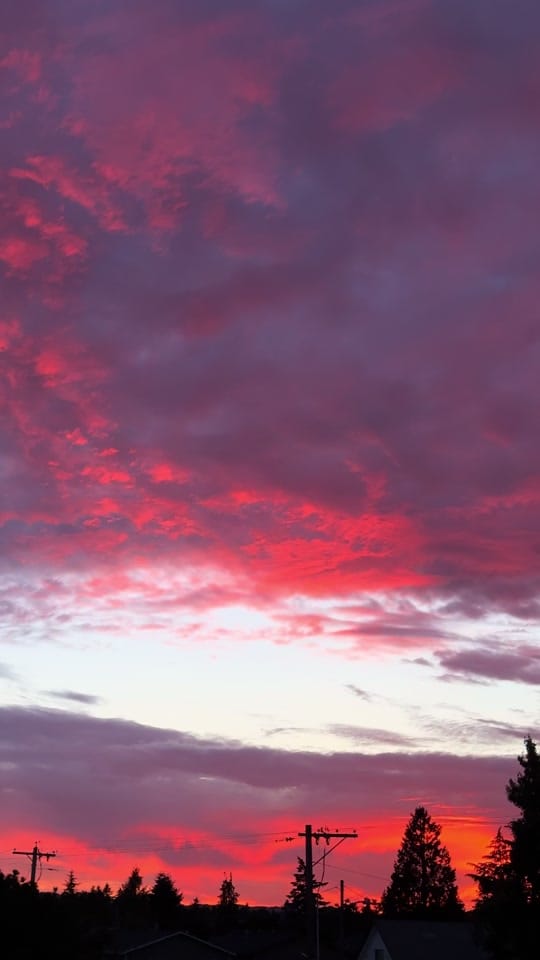 Post 1 by Brittany🪻| Portland Creator on TikTok (video)