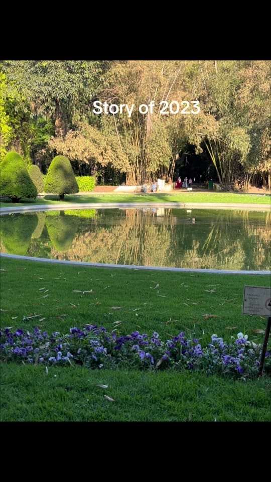 Post 7 by Linda🌸💗 on TikTok (video)