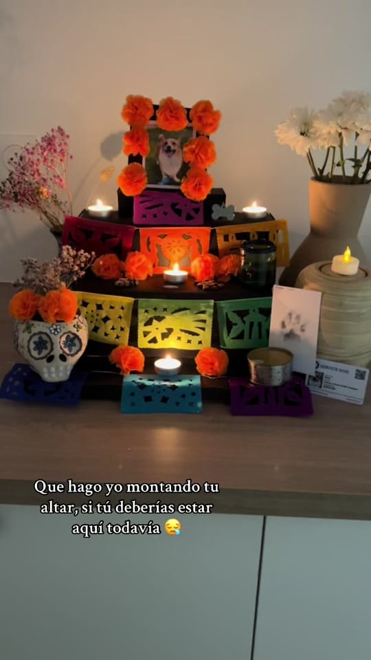 Post 1 by Sylvi Tolentino 🇫🇷🥐🇲🇽 on TikTok (video)