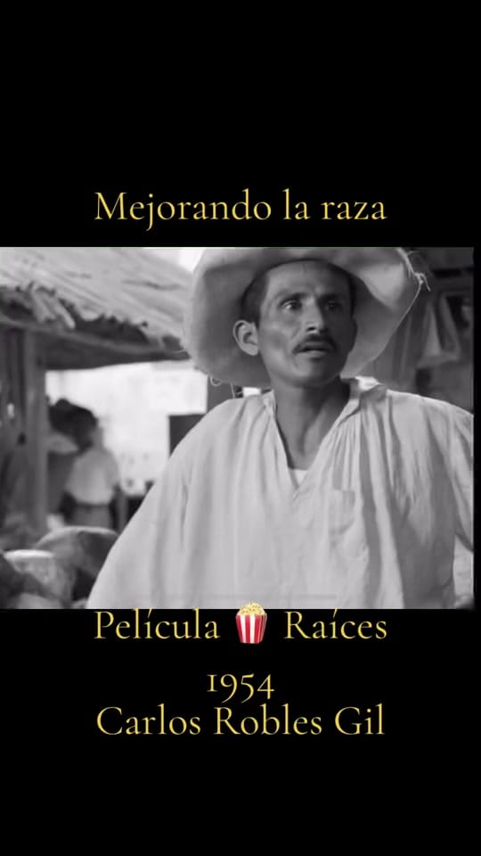 Post 9 by pedroinfanteelcarpintero on TikTok (video)