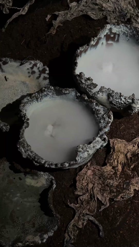 Post 4 by morgane ✨ art + lifestyle on TikTok (video)