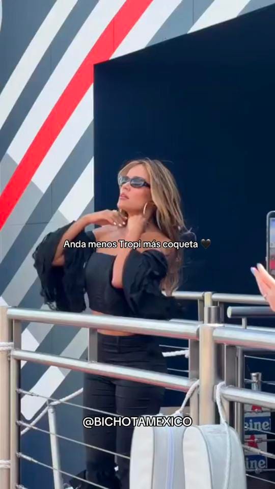 Post 2 by Bichota México on TikTok (video)