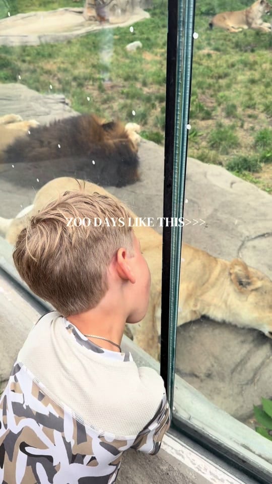 Post 2 by Brittany Brown on TikTok (video)