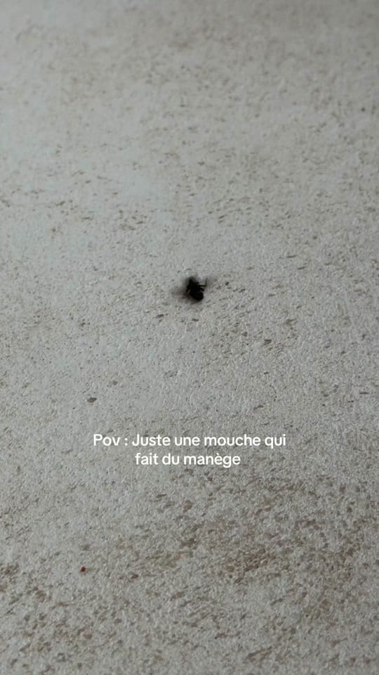 Post 3 by Mel_k.r 🌸 on TikTok (video)